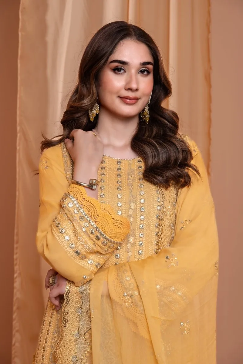 Mihrimah Festive Chiffon Pakistani Party Wear MIH65