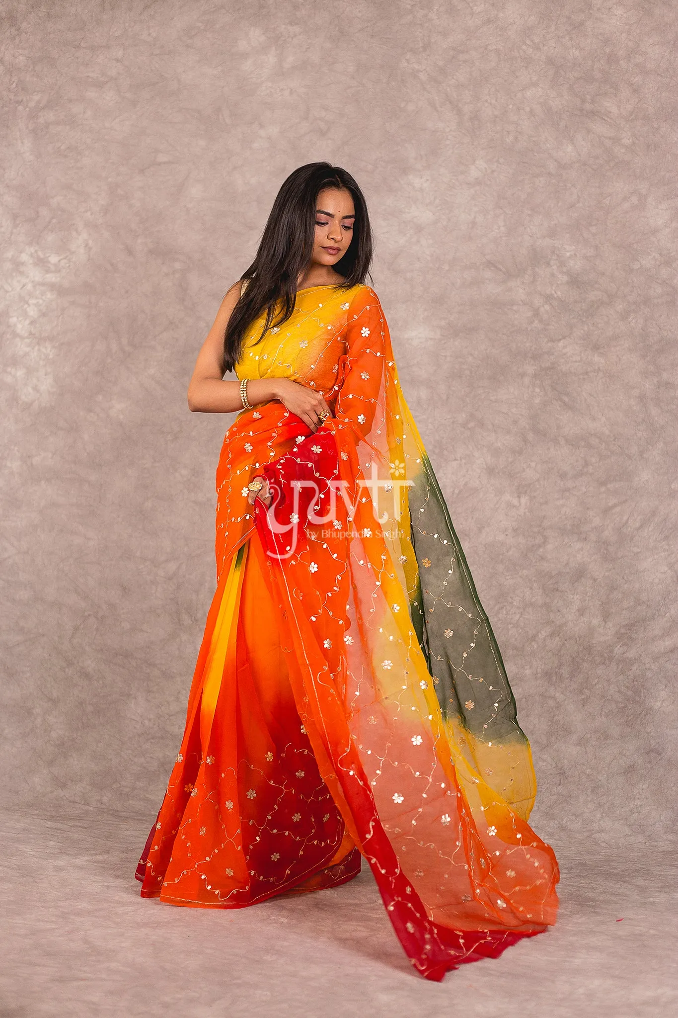 Multi coloured Chiffon Saree